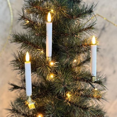 Sille Wax Tree Candle 10 pcs   White 1 5x12 8