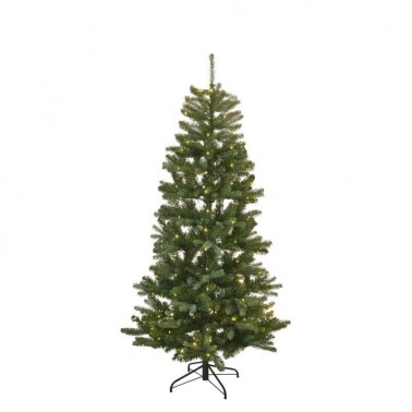 Elton Tree 234 LED  Green 180