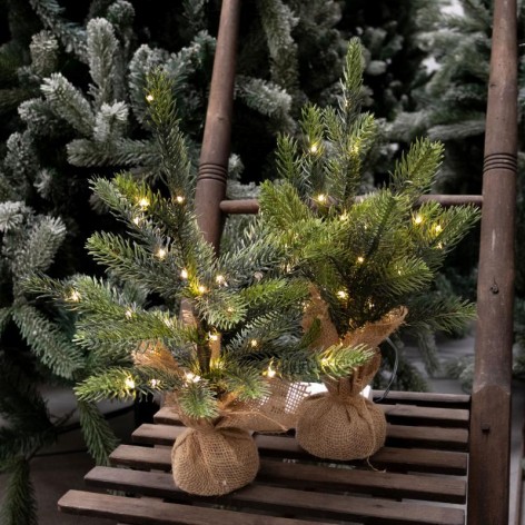 Bella Tree 20 LED  Green