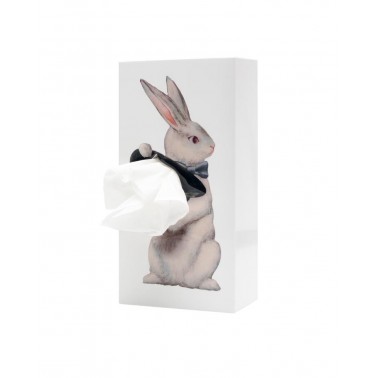 Tissue Up Tale Wonder Rabbit