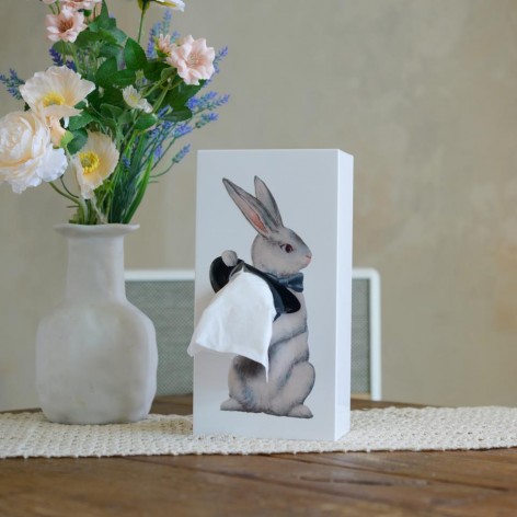 Tissue Up Tale Wonder Rabbit