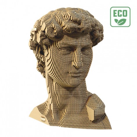 Puzzle 3D Arquitecture DAVID