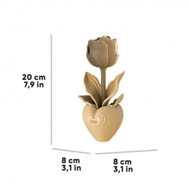 Puzle 3D Collectibles TULIP