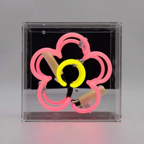 Mini Acrylic Box Neon - Daisy - Pink
