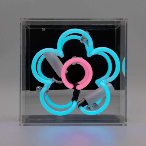 Mini Acrylic Box Neon - Daisy - Blue