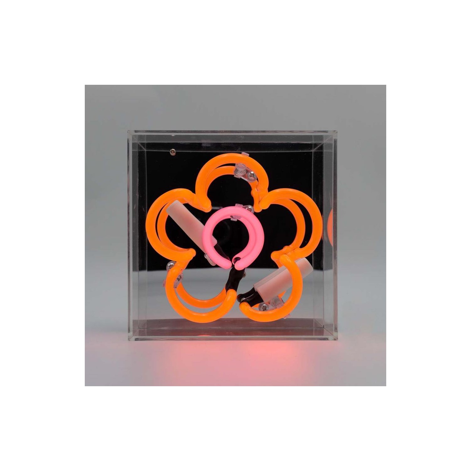 Mini Acrylic Box Neon - Daisy - Orange