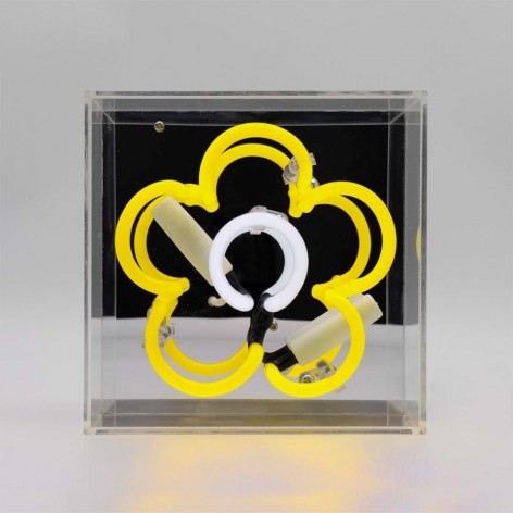 Mini Acrylic Box Neon - Daisy - Yellow