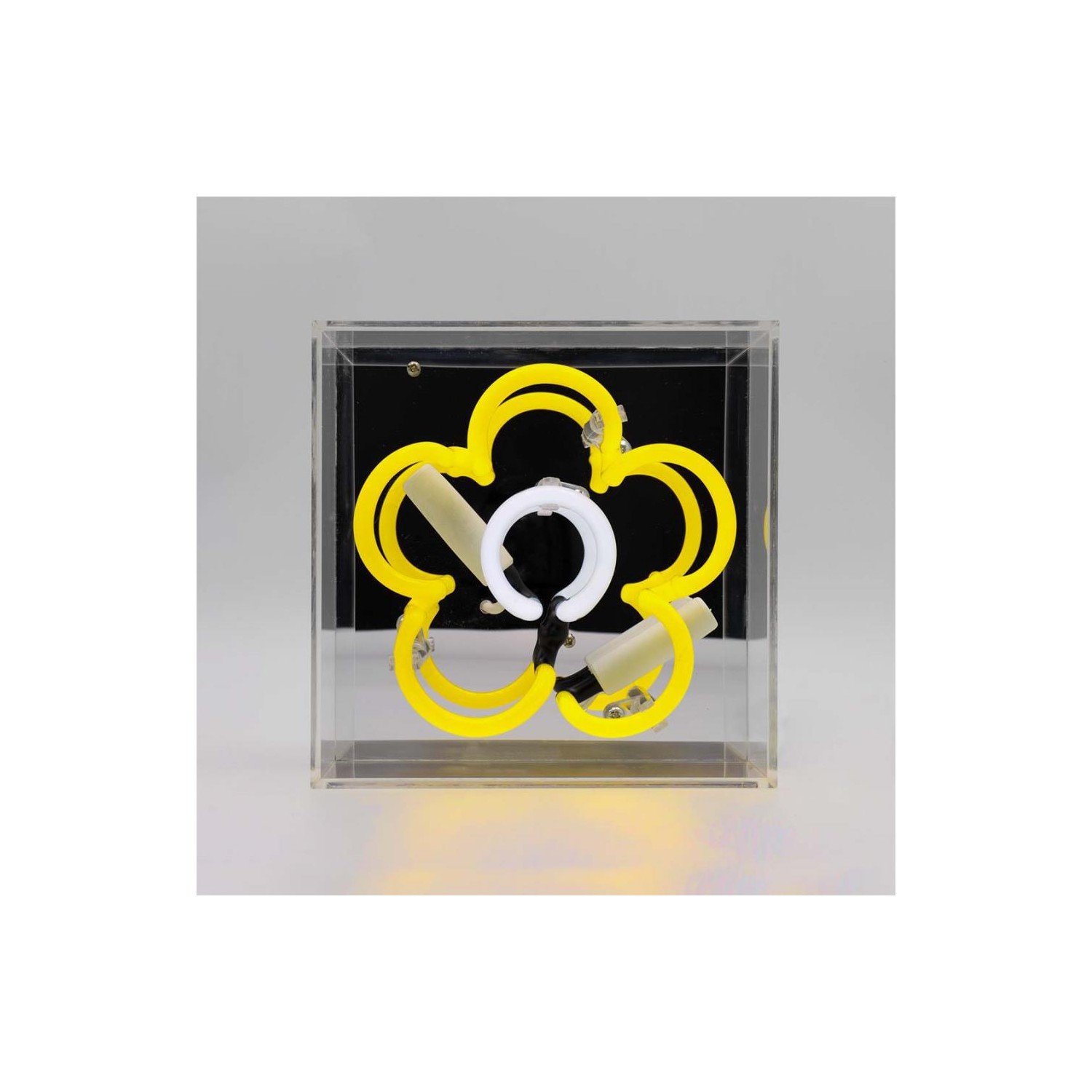 Mini Acrylic Box Neon - Daisy - Yellow