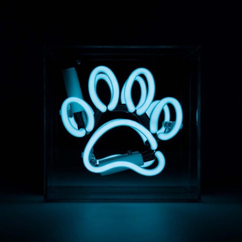 Mini Acrylic Box Neon - Paw - Blue