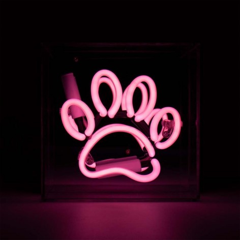 Mini Acrylic Box Neon - Paw - Pink