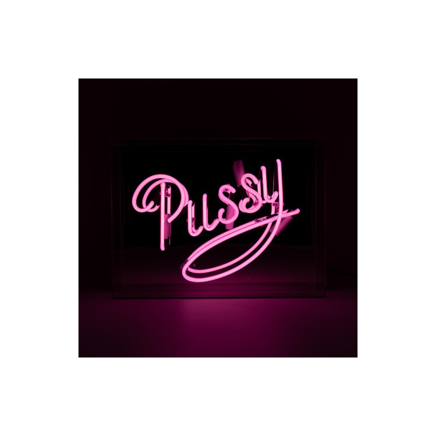 Large Acrylic Box Neon - Pink Pussy