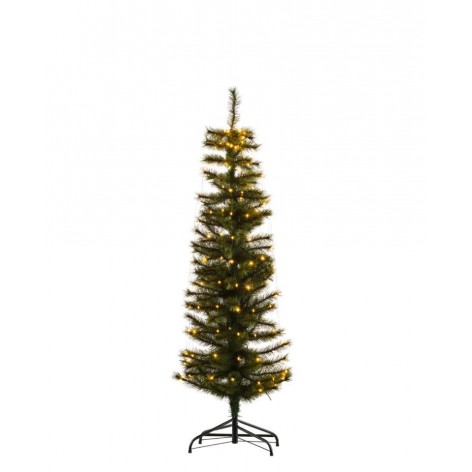 Sirius Arbol Alvin1 5m