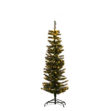 Sirius Arbol Alvin1 5m