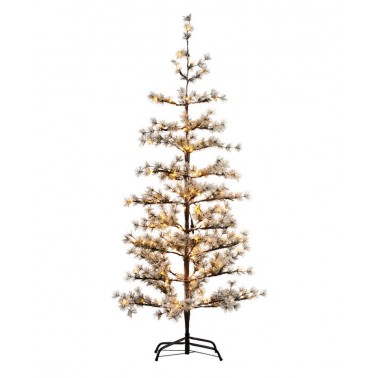 Arbol Sirius Alfi 1 8m