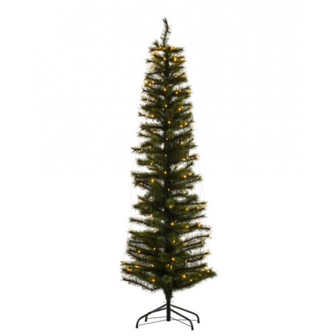 Arbol Sirius Alvin1 8m