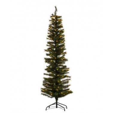 Arbol Sirius Alvin1 8m