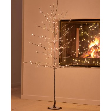 Arbol Sirius Kira 1 2m