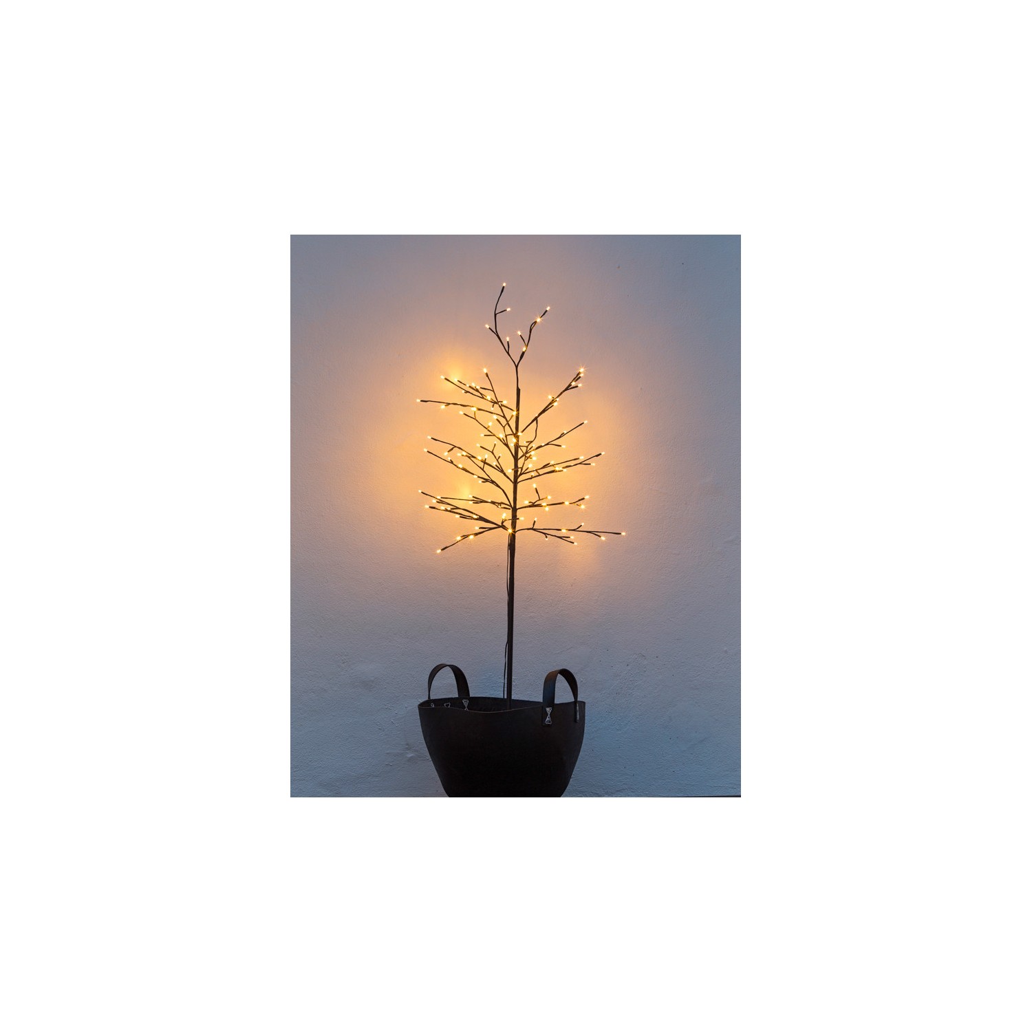 Arbol Sirius Noah 160cm 