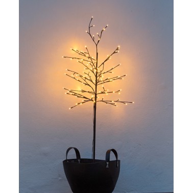 Arbol Sirius Noah 160cm 