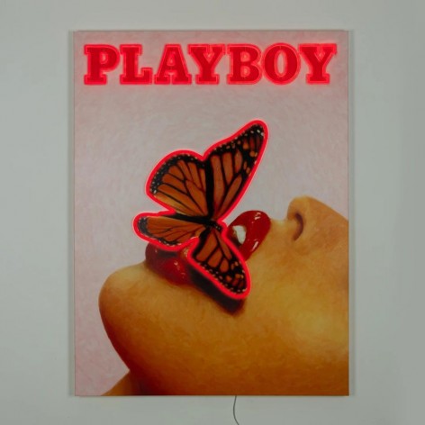 Cuadro Locomocean Playboy Butterfly Cover