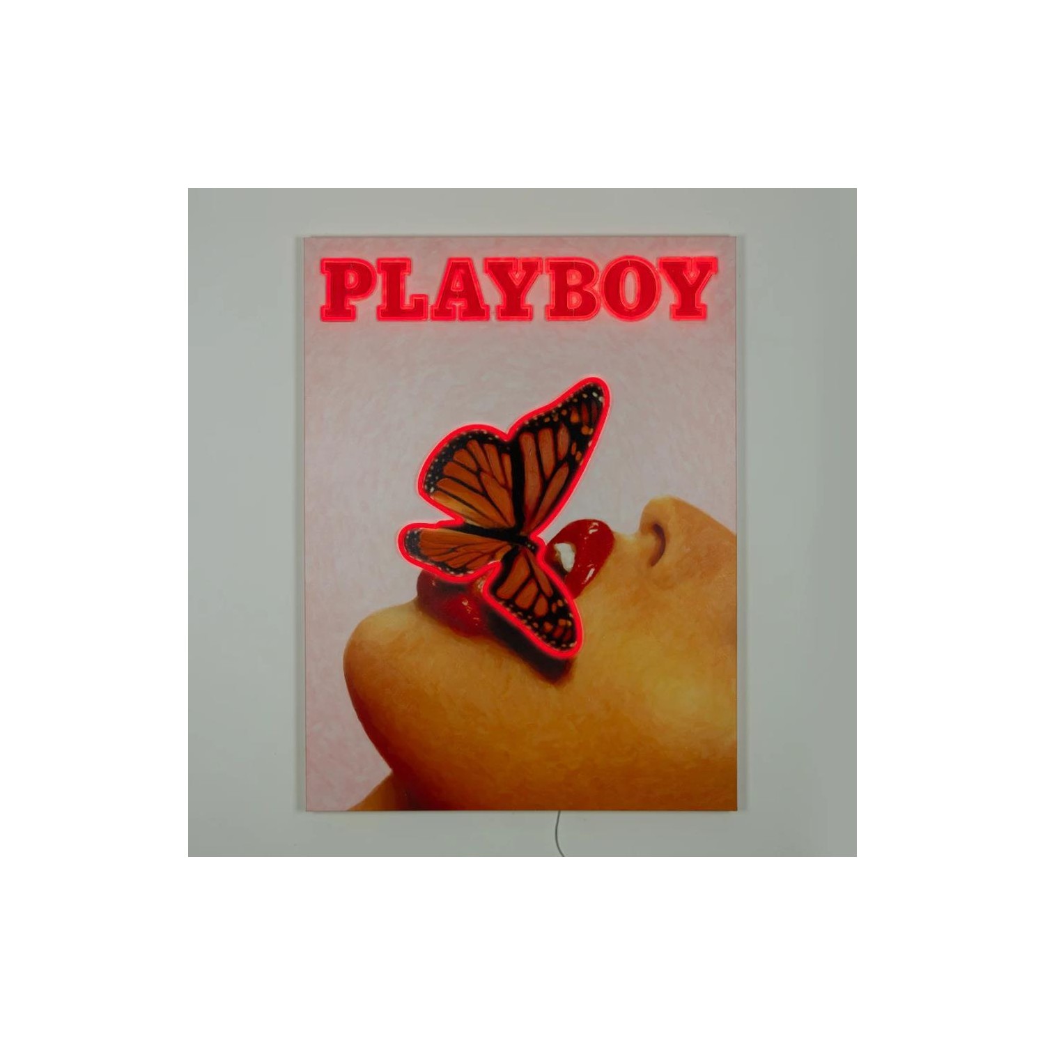 Cuadro Locomocean Playboy Butterfly Cover