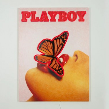 Cuadro Locomocean Playboy Butterfly Cover