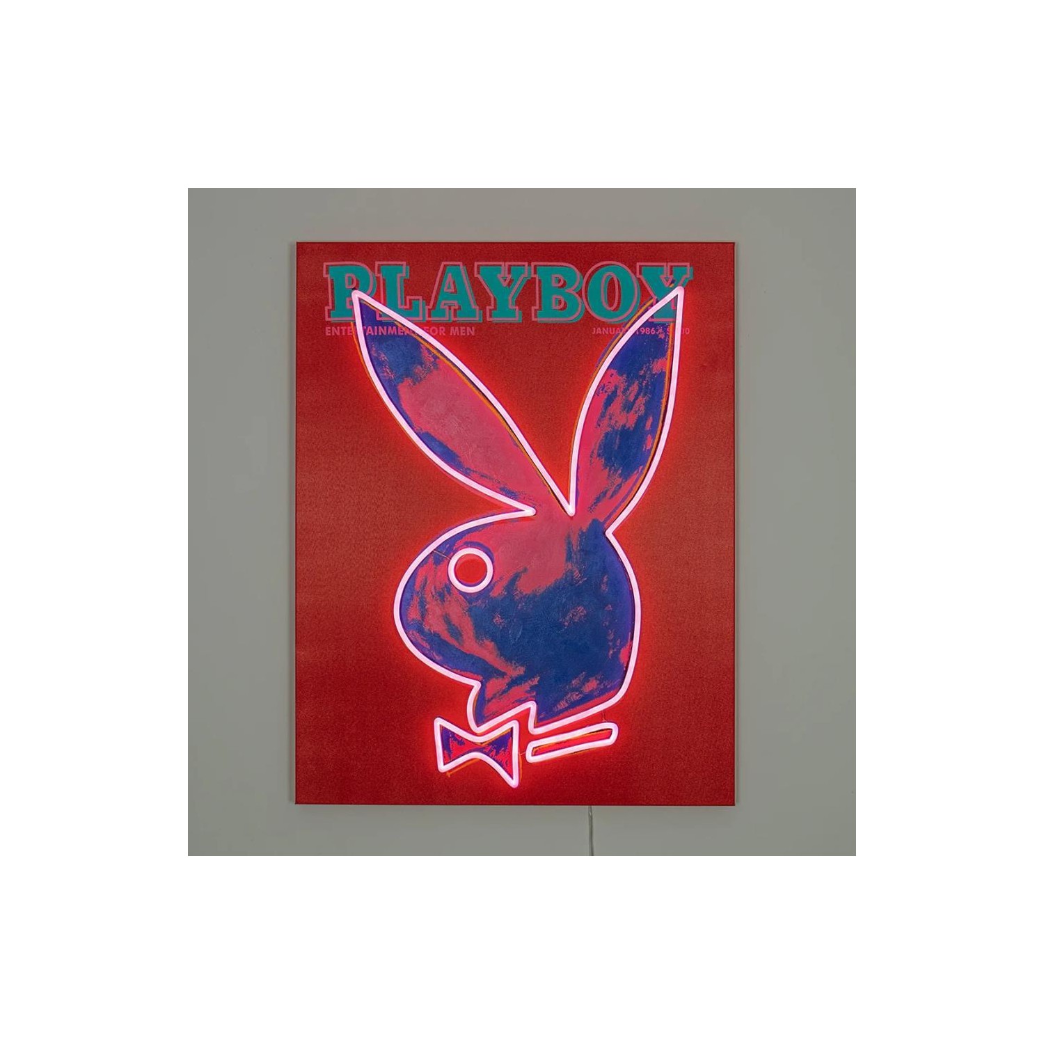Cuadro Locomocean Playboy Warhol Pink