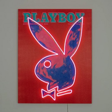 Cuadro Locomocean Playboy Warhol Pink