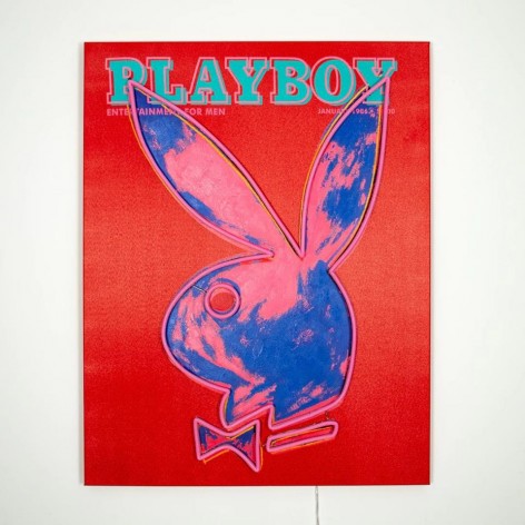 Cuadro Locomocean Playboy Warhol Pink