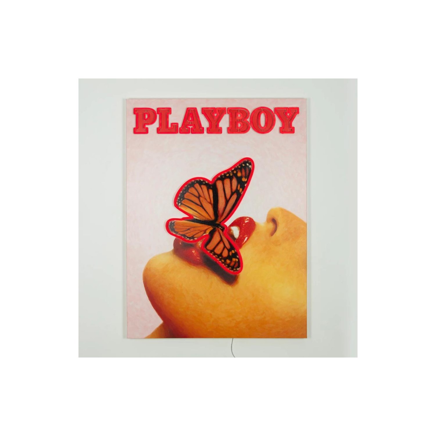 Cuadro Locomocean S Playboy Butterfly Cover